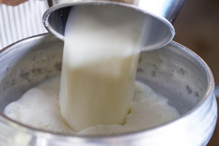 İnek sütünden 10 kat daha faydalı Yerine bardak bardak için: Kemikleri betona çevirip vücudu D vitaminine ve potasyuma boğuyor Kas ağrılarını geçiriyor