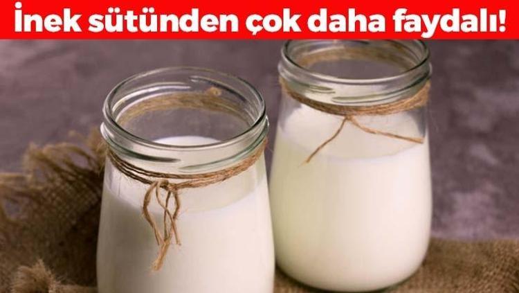 İnek sütünden 10 kat daha faydalı Yerine bardak bardak için: Kemikleri betona çevirip vücudu D vitaminine ve potasyuma boğuyor Kas ağrılarını geçiriyor