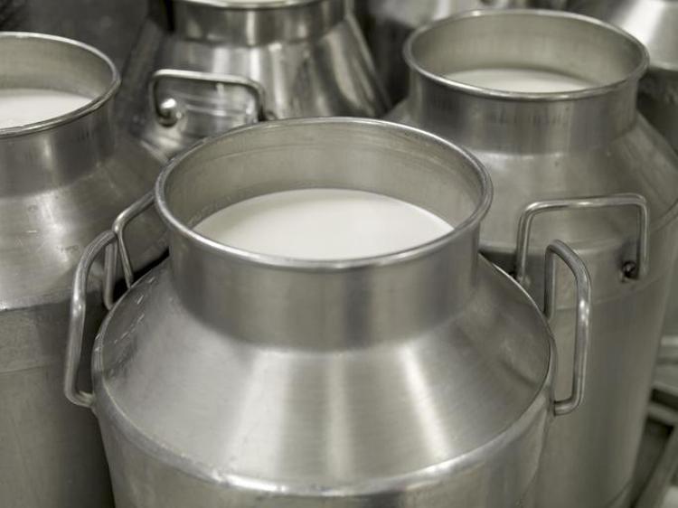 İnek sütünden 10 kat daha faydalı Yerine bardak bardak için: Kemikleri betona çevirip vücudu D vitaminine ve potasyuma boğuyor Kas ağrılarını geçiriyor