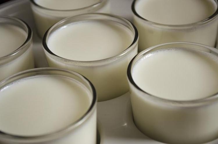 İnek sütünden 10 kat daha faydalı Yerine bardak bardak için: Kemikleri betona çevirip vücudu D vitaminine ve potasyuma boğuyor Kas ağrılarını geçiriyor