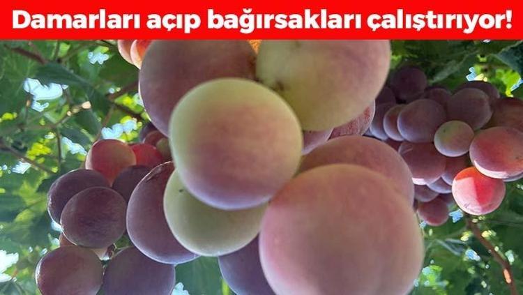 Antalya lezzetinde erkenci hasat vakti Kilosu 60 TL: Tıkalı damarları yağ çözücü gibi açıp bağırsakları harıl harıl çalıştırıyor Doğanın demir kralı