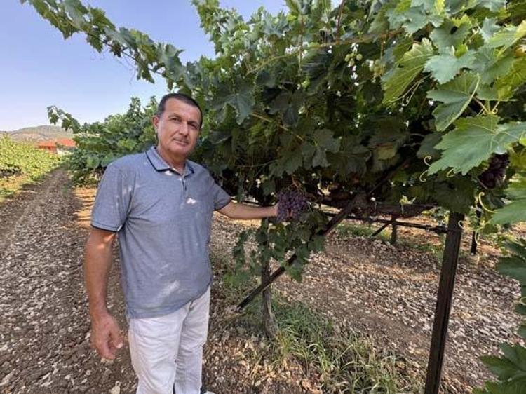 Antalya lezzetinde erkenci hasat vakti Kilosu 60 TL: Tıkalı damarları yağ çözücü gibi açıp bağırsakları harıl harıl çalıştırıyor Doğanın demir kralı