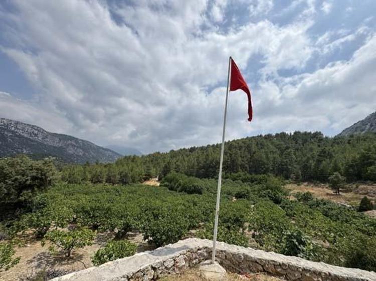 BU YIL YÜKSEK REKOLTE BEKLENİRKEN, AŞIRI SICAKLAR REKOLTEYİ DÜŞÜRDÜ