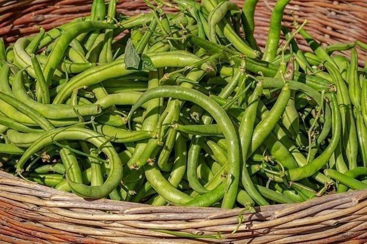 BAĞIŞIKLIK SİSTEMİNİ GÜÇLENDİRİR