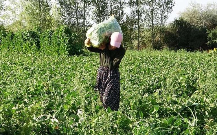 ARTIK EMEĞİMİZİN KARŞILIĞINI ALACAĞIMIZI DÜŞÜNÜYORUM