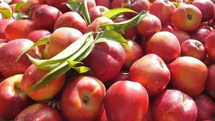 KALP KRİZİ RİSKİNİ AZALTIR