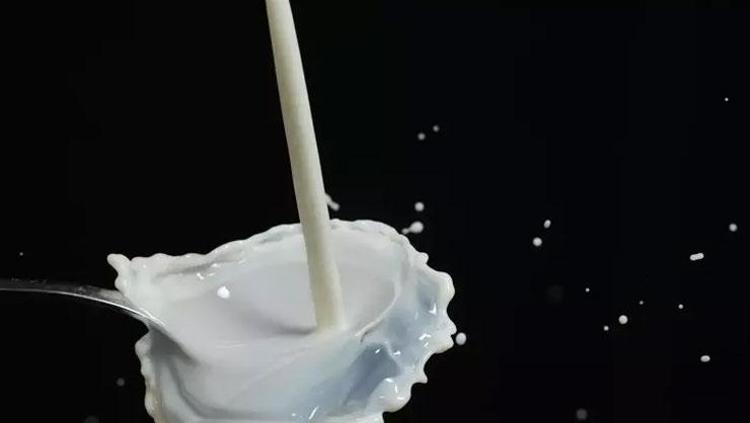 İnek sütüne en büyük alternatif Tam bir protein deposu: Kalbi kaya gibi kuvvetlendiriyor