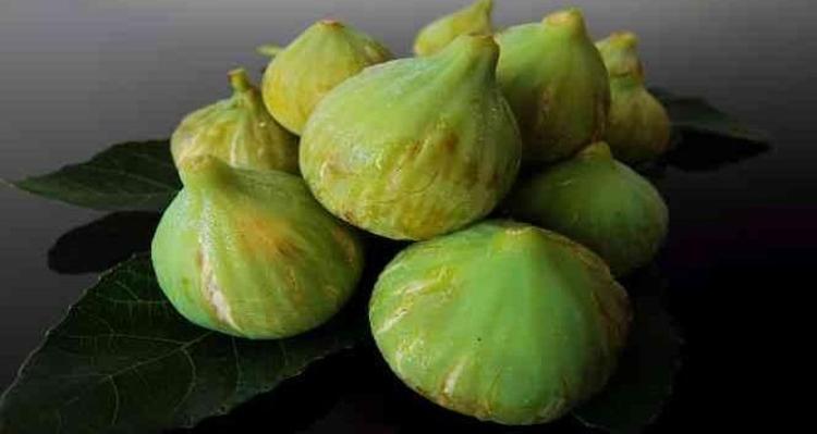 Altından bal damlayan meyvede hasat sürüyor Kilosu 120 TL: Bağırsakları motor gibi çalıştırıp kemikleri betona çeviriyor Magnezyum zengini