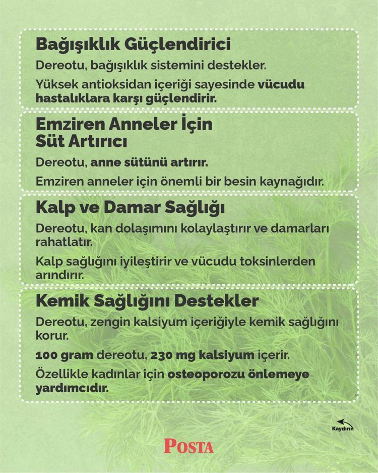 Karaciğerdeki toksinleri söküp atıyor Yoğurtla karıştırıp kaşık kaşık yiyin: İltihabın kökünü kurutuyor, vücuda detoks yaptıran en faydalı besin