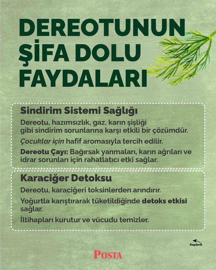 Karaciğerdeki toksinleri söküp atıyor Yoğurtla karıştırıp kaşık kaşık yiyin: İltihabın kökünü kurutuyor, vücuda detoks yaptıran en faydalı besin