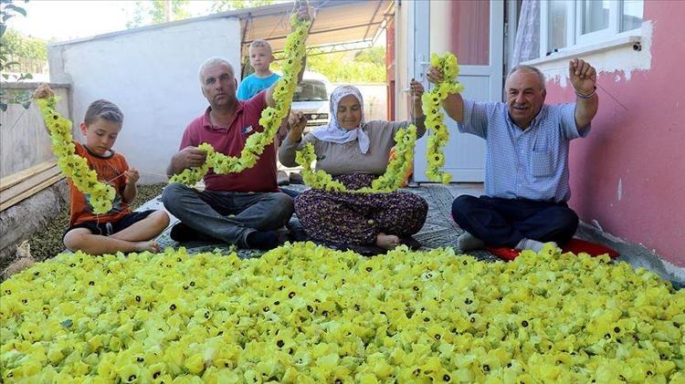 Anavatanı Amasya ama Afrikadan rakip çıktı Damarları saniyesinde genişletiyor, kolesterolü dengeleyip safra kesesindeki toksinleri arındırıyor