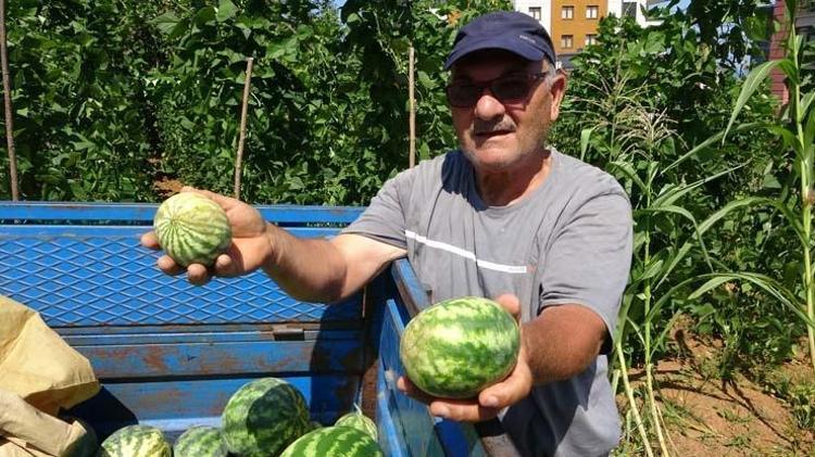 KARPUZUN FAYDALARI NELERDİR