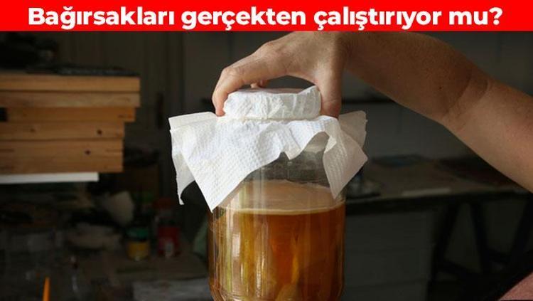 Kombucha ve fermente gıdaların durdurulamaz yükselişi Gerçekten faydalı mı yoksa abartı mı Bağırsak sağlığına etkileri