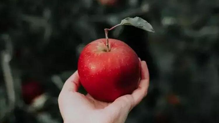 1 haftada 3 kilo verdiren yöntem Bundan daha etkilisi yok: Kısa zamanda zayıflatıyor