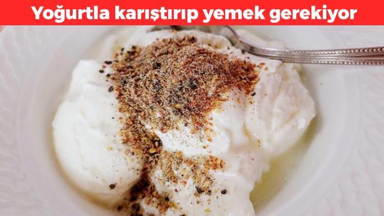 Tuz yerine bunu kullanın Yoğurtla karıştırınca etkisi katlanıyor: Bağışıklığı roketleyen besin, metabolizma hızını artırıyor