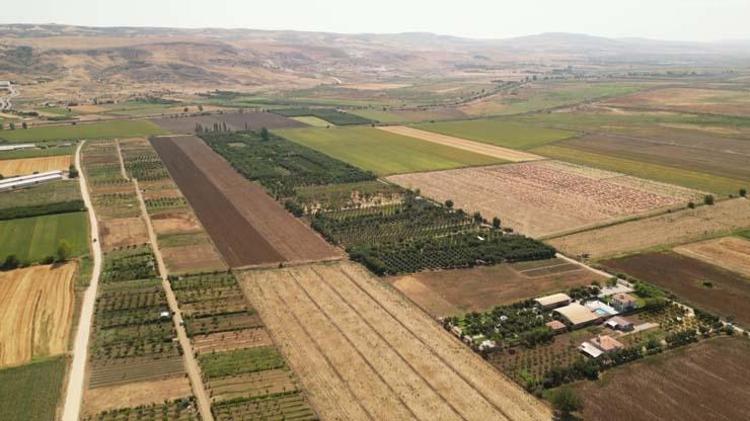 ELMA AĞAÇLARINI KIŞIN ANTİFRİZ, YAZIN YABANİ OTLARLA KORUDU