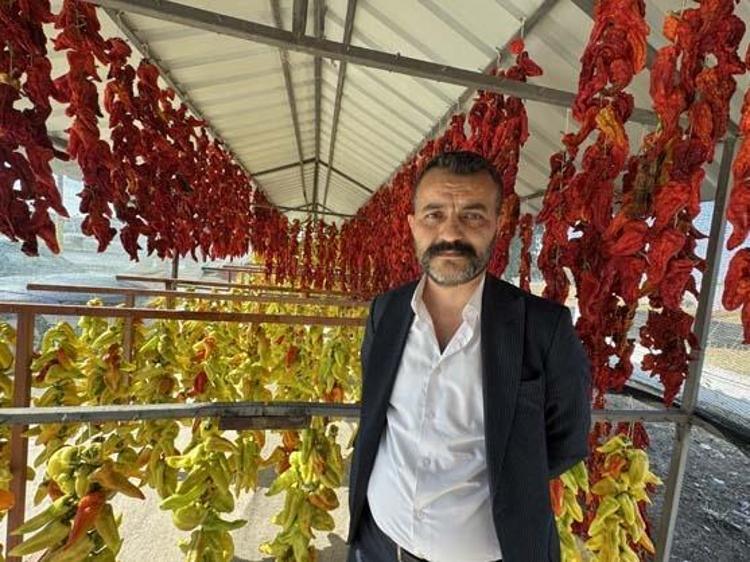 BİBERLER ATA TOHUMDAN ÜRETİLİYOR