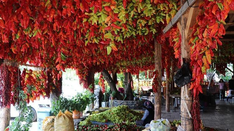 Denizlinin göz bebeği, turistler kilo kilo alıyor Damar sertliğini önlüyor, iştahı baskılayıp iltihabın kökünü kazıyor