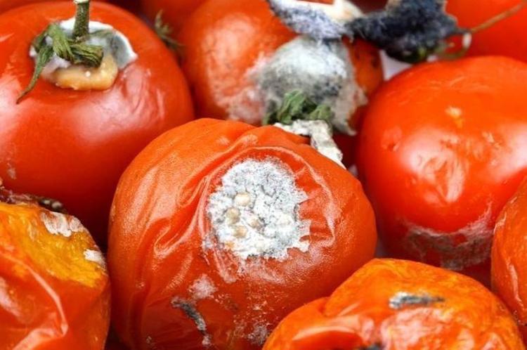 ETİLEN GAZINA DİKKAT EDİN