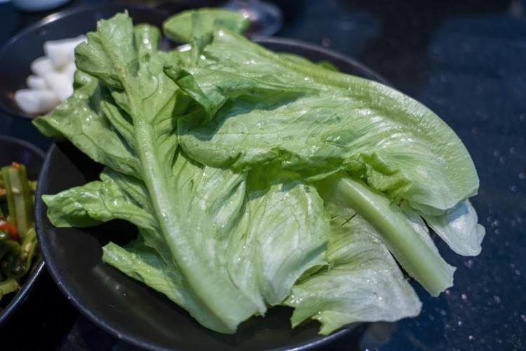 KARA LAHANA, ALABAŞ, ROKA...