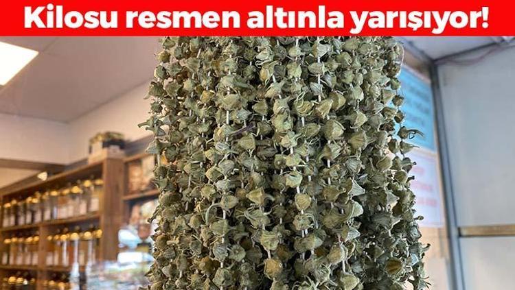 Kilo fiyatı 2 bin 900 TLye düştü Çorbanın içine 1 avuç ekleyin: Kan şekerini terazi gibi dengeleyip kemikleri betona çeviriyor