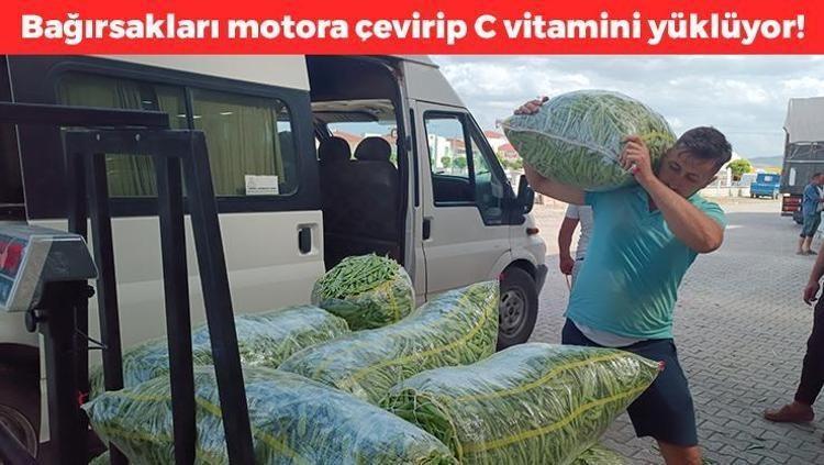 Afyonkarahisarda hasadı başladı Kilosu 70 TL: Bağırsakları motor gibi çalıştırıp C vitamini yüklüyor En güçlü antioksidan, kemikleri betona çeviriyor