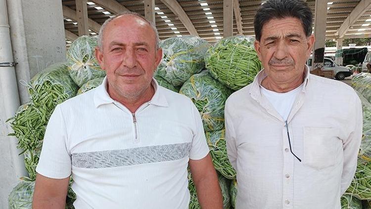 Afyonkarahisarda hasadı başladı Kilosu 70 TL: Bağırsakları motor gibi çalıştırıp C vitamini yüklüyor En güçlü antioksidan, kemikleri betona çeviriyor