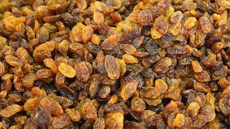 SİNDİRİM SAĞLIĞI DESTEKLER VE PREBİYOTİKTİR