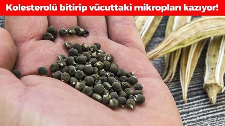 Geceden suda bekletip sabah yiyen yaşadı Kolesterolün kökünü kazıyor, kan şekerini terazi gibi dengeliyor