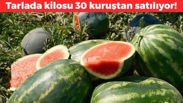 Kilosu 30 kuruşa düştü Meğer yıllardır yanlış tüketiyormuşuz