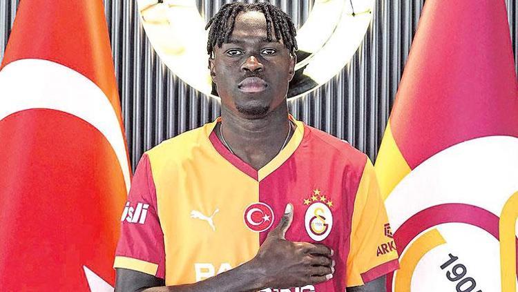 Singo Afrika Aslanı