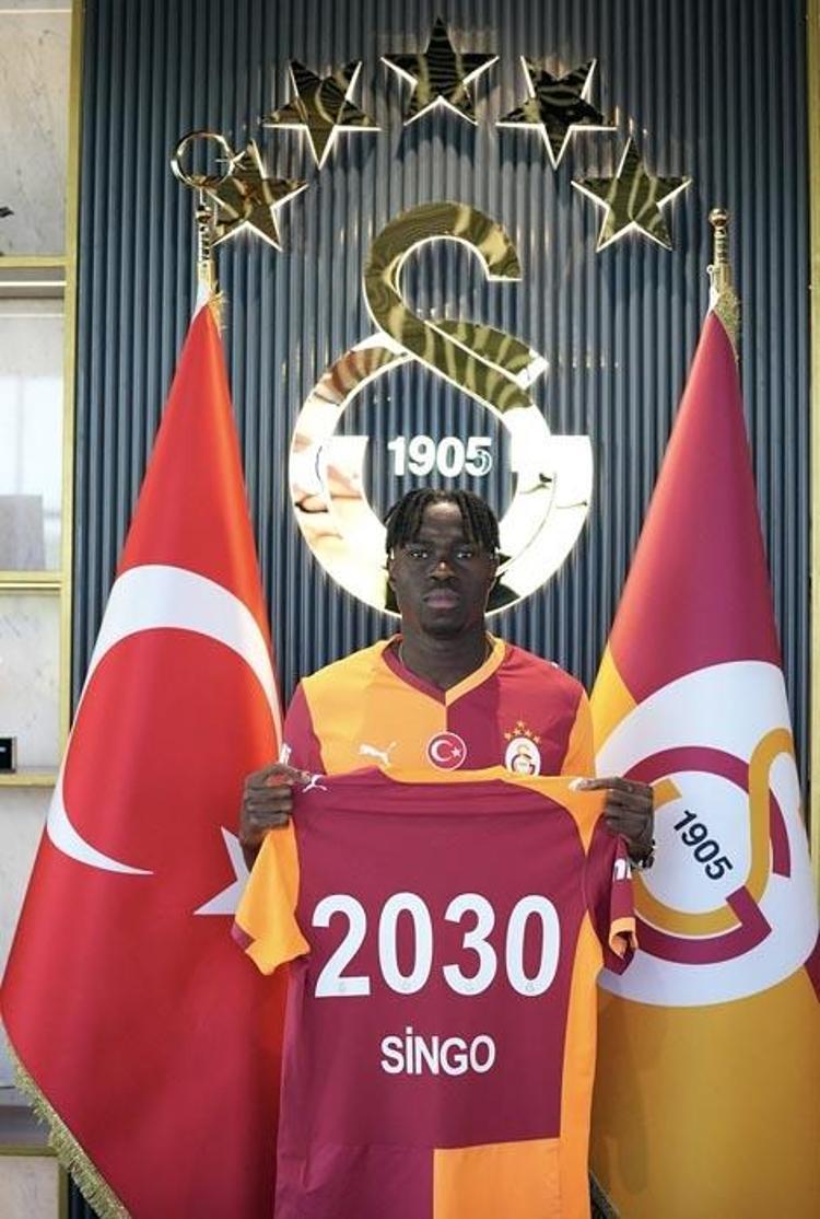 Singo Afrika Aslanı