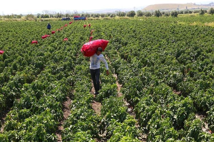 350 BİN LİRA MALİYETLE ÜRETİM YAPTIK