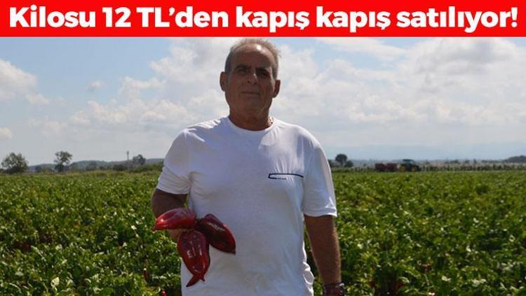 Kilosu 12 TLden satılıyor C vitamini bombası, demir emilimini artırıp kolesterolün kökünü kazıyor