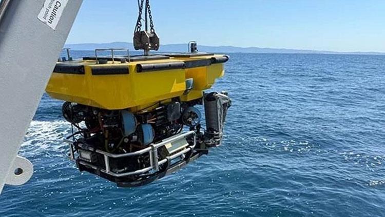 Halit Yukayın cenazesi 30 gün sonra çıkarıldı Otopside acı detay