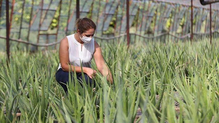 Gece sürünce etkisini 2 kat artırıyor 1 damlası bile kırışıklıkları söküp atıyor, cilde kolajen yüklemesi yapıyor, yüzü resmen mermer gibi yapıyor, C vitamini deposu