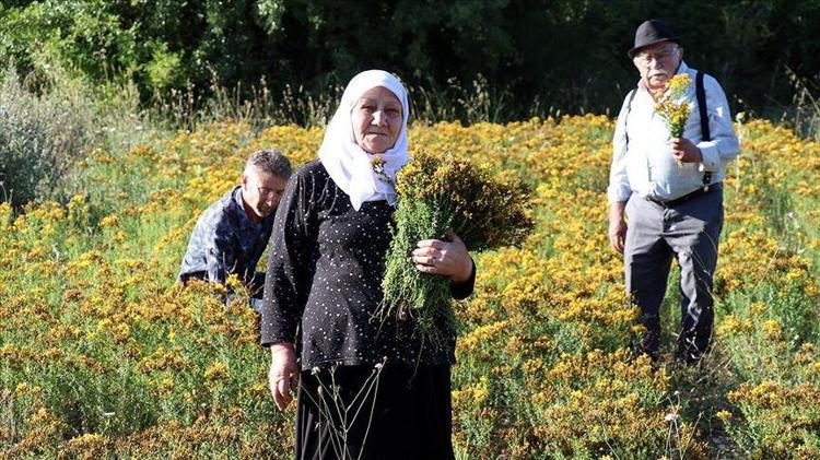 KÖYÜN DOKTORU OLARAK BİLİNİYOR