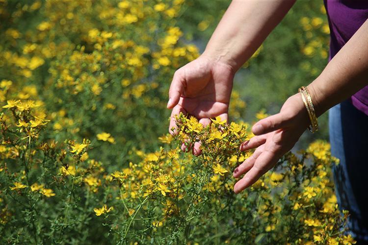 EV EKONOMİSİNE KATKI SAĞLIYOR