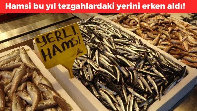 Hamsiye erkenden kavuştuğuna sevinenleri korkutan haber 35 yıldır böylesini ilk kez görüyorum