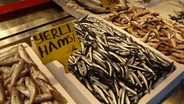 Hamsiye erkenden kavuştuğuna sevinenleri korkutan haber 35 yıldır böylesini ilk kez görüyorum