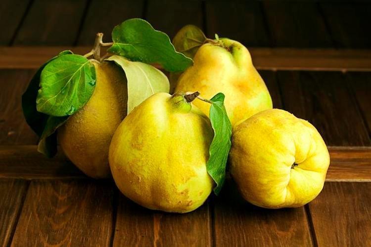 AYVA YAPRAĞI ÇAYI KİMLER İÇİN ZARARLI