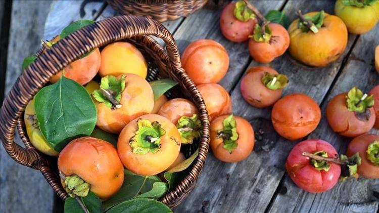 Kan değerlerini zirveye çıkarıyor Hasat zamanını kaçırmayın: Ülser ve gastrit için doğal şifa kaynağı