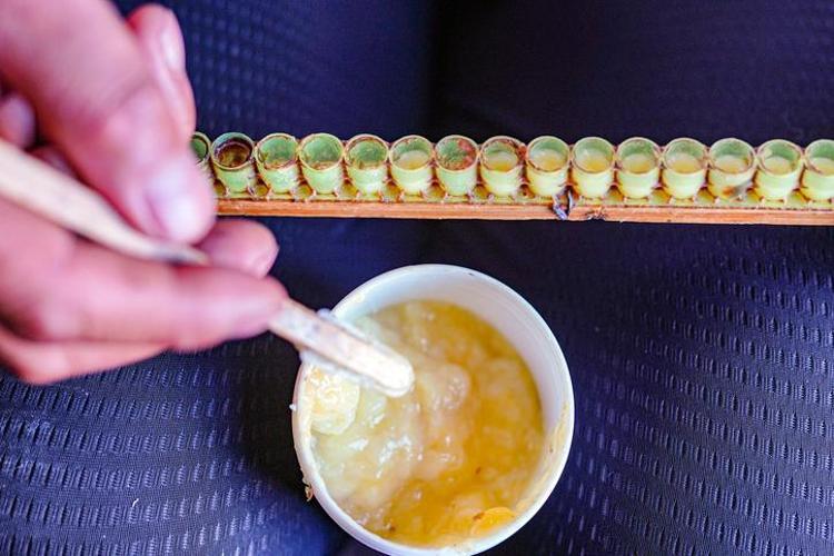 Doktorların sessiz kaldığı gerçek Antibiyotik gibi çalışıyor ama kimse faydasından bahsetmiyor