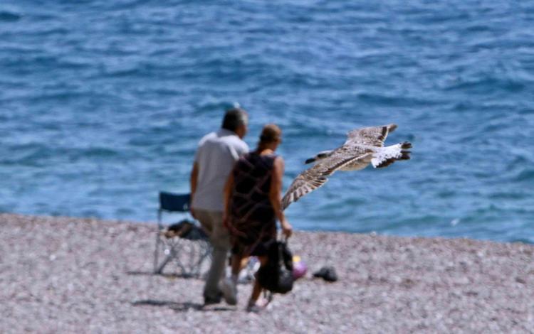 Tatil cennetinde doluluk bir günde yarıya indi
