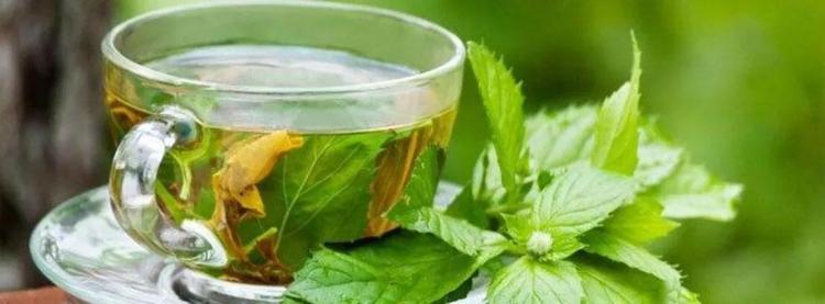 Yörükler bu otla şifa bulmuş: Bağışıklığı çelik gibi yapıyor