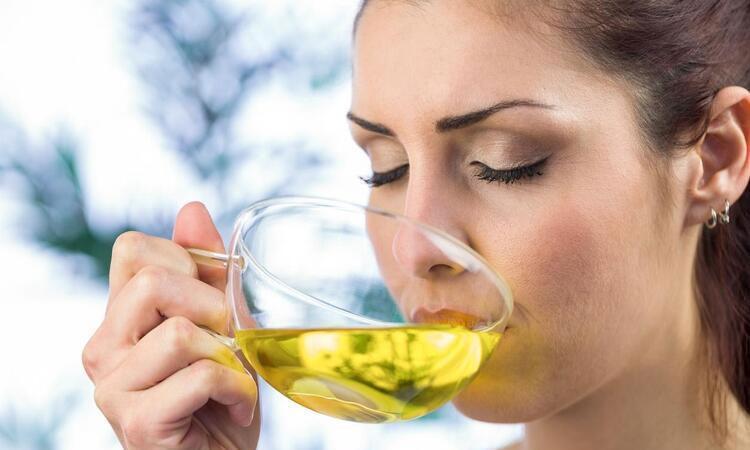 Yörükler bu otla şifa bulmuş: Bağışıklığı çelik gibi yapıyor