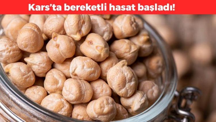Karsta hasadı başladı Çevre illere kilo kilo satılıyor: Yemeğini yapıp kaşık kaşık yiyebilirsiniz