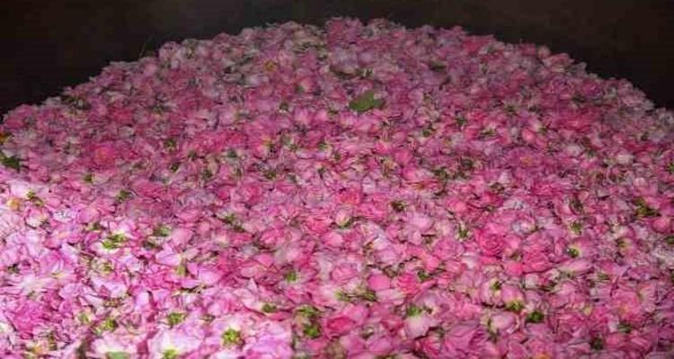 59 yaşındaki kadının cildinde hiç kırışıklık yok Meğer sırrı buymuş: 30 saniyelik rutin botoks ihtiyacını sıfırlıyor