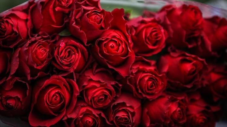 59 yaşındaki kadının cildinde hiç kırışıklık yok Meğer sırrı buymuş: 30 saniyelik rutin botoks ihtiyacını sıfırlıyor