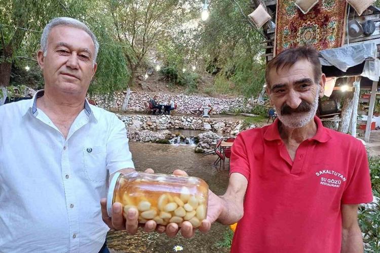 Malatya’da üretiliyor, tüm Türkiye konuşacakDoktorların da dikkatini çekti: Damarda biriken kolesterole yağ çözücü etki gösteriyor